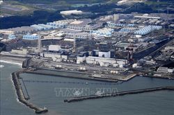Nhật Bản bắt đầu loại bỏ nhiên liệu đã qua sử dụng tại nhà máy điện Fukushima
