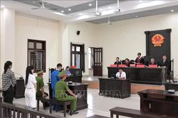 Lập 20 gian hàng để tạo đơn 'ảo' bán thực phẩm giả, 3 bị cáo lĩnh 46 năm tù