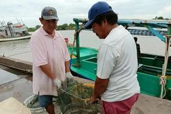 Phan Ngọc Hiển phát huy lợi thế kinh tế biển, mở hướng phát triển bền vững
