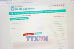 C&agrave; Mau th&aacute;o gỡ điểm nghẽn th&uacute;c đẩy chuyển đổi số