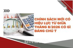 Ch&iacute;nh s&aacute;ch mới c&oacute; hiệu lực từ giữa th&aacute;ng 8/2026 c&oacute; g&igrave; đ&aacute;ng ch&uacute; &yacute;?