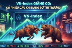VN-Index giữ sắc xanh nhờ nhóm dầu khí làm bệ đỡ