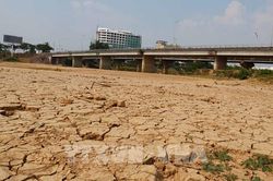 Bộ Nông nghiệp và Môi trường yêu cầu chủ động ứng phó El Nino 2026-2027