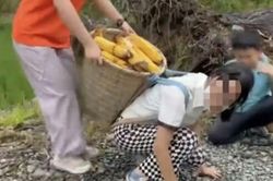 Trung Quốc: Cha mẹ bỏ tiền cho con đi chặt củi, đào khoai vào dịp nghỉ hè