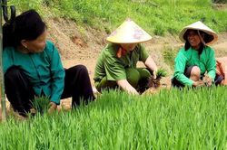 Ph&aacute;t huy vai tr&ograve; Chi bộ C&ocirc;ng an x&atilde; nơi địa đầu Tổ quốc