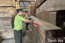 Hạt Kiểm lâm TP Thanh Hóa: Tăng cường quản lý các cơ sở chế biến lâm sản