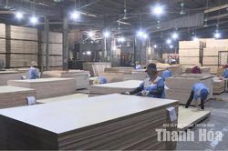 Chính sách thuế mới của Mỹ gia tăng áp lực cạnh tranh cho doanh nghiệp