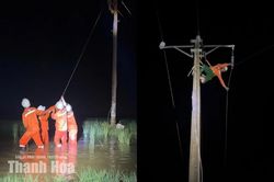 Chủ động ứng ph&oacute;, nhanh ch&oacute;ng kh&ocirc;i phục cấp điện sau thi&ecirc;n tai