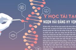Y học tái tạo: Ngọn hải đăng hy vọng