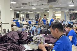 Xuất khẩu sang Hà Lan phải vượt ''hàng rào xanh'' để giữ vững vị thế