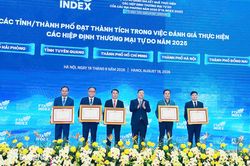 Đồng Nai là một trong 5 địa phương có chỉ số FTA tốt nhất cả nước