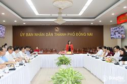 Tập trung giải pháp đảm bảo tiến độ chỉnh lý và số hóa tài liệu hồ sơ, tài liệu lưu trữ