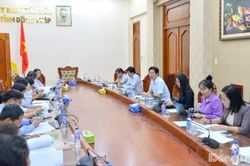 Đồng Tháp: Tập trung chuẩn bị Đại hội Thể dục thể thao tỉnh lần thứ I năm 2026