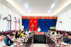 Phường Di&ecirc;n Hồng triển khai phương &aacute;n sắp xếp, s&aacute;p nhập c&aacute;c cơ sở gi&aacute;o dục