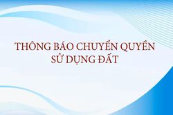Chi nhánh Văn phòng Đăng ký đất đai Phan Rang thông báo cấp Giấy chứng nhận quyền sử dụng đất