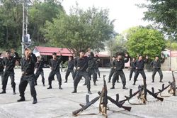 81 năm chiến đấu và trưởng thành