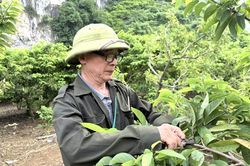 Cựu chiến binh l&agrave;m kinh tế giỏi