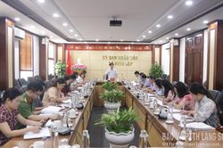 Kiểm tra tiến độ xây dựng nông thôn mới tại xã Đình Lập