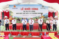 Khởi c&ocirc;ng Nh&agrave; m&aacute;y chế biến ch&egrave; Mường Khương