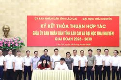 L&agrave;o Cai k&yacute; kết hợp t&aacute;c đ&agrave;o tạo nh&acirc;n lực với Đại học Th&aacute;i Nguy&ecirc;n