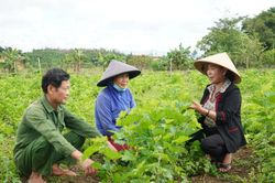 Quảng Sơn phát huy nguồn lực, tạo sinh kế giảm nghèo
