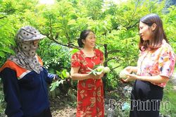 Khi dòng vốn của Đảng bén rễ vùng khó khăn - Kỳ 3: Bản Mường sang trang mới và “trái ngọt” từ niềm tin