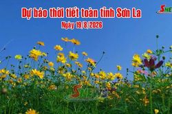 Dự b&aacute;o thời tiết to&agrave;n tỉnh Sơn La ng&agrave;y 19/8/2026
