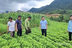 Thượng N&ocirc;ng đ&aacute;nh thức tiềm năng v&ugrave;ng cao