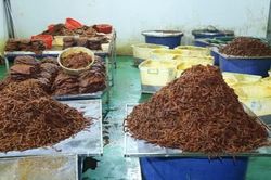 Khởi tố, bắt tạm giam 4 bị can trong đường dây thịt khô bò giả quy mô lớn