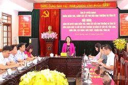 Công bố Quyết định đoàn kiểm tra, giám sát số 740 của Ban Thường vụ Tỉnh ủy tại 6 xã