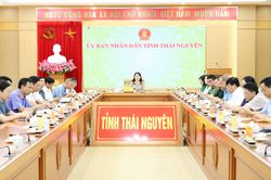 Triển khai c&aacute;c hoạt động hưởng ứng Ng&agrave;y Ph&aacute;p luật Việt Nam năm 2026