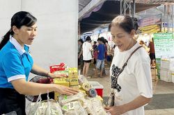 Khởi nghiệp xanh trong hành trình chuyển đổi số