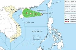 Chủ động ứng phó áp thấp nhiệt đới