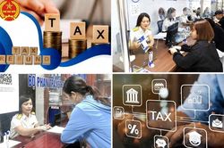 Ngành Thuế ban hành trên 11.600 quyết định hoàn thuế, số tiền hoàn thuế tăng 32%