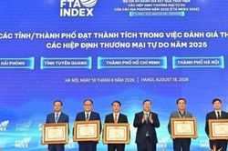 Hà Nội nhận Bằng khen của Thủ tướng về thực thi FTA