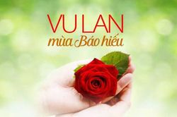 Bông hồng mùa Vu Lan