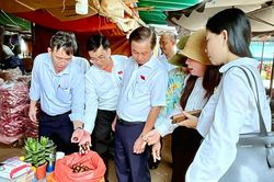 TP. Hồ Chí Minh: Siết kiểm soát an toàn thực phẩm tại các chợ đầu mối