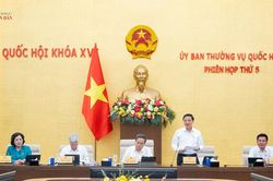 Ủy ban Thường vụ Quốc hội cho ý kiến về dự án Bộ luật Hình sự (sửa đổi)