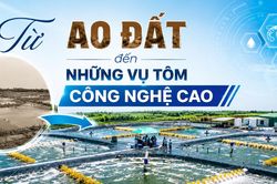 Từ ao đất đến những vụ tôm công nghệ cao
