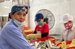 Khai ph&aacute; 'nguồn t&agrave;i nguy&ecirc;n' 9 triệu lao động cao tuổi