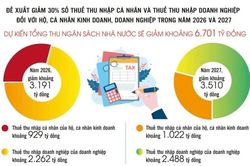 Giảm thuế có đủ để hộ kinh doanh 'dám lớn'?