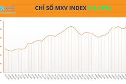 Thị trường h&agrave;ng h&oacute;a: Sắc xanh bao phủ, MXV-Index tăng 60 điểm
