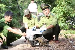 Th&agrave;nh phố của di sản quyết liệt bảo vệ động vật hoang d&atilde;