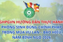 Hướng dẫn thực hành phóng sinh đúng Chính pháp trong mùa Vu Lan