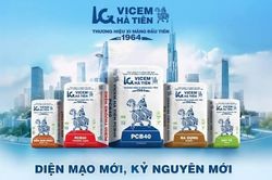 VICEM: Bổ nhiệm quyền Tổng giám đốc, lợi nhuận bán niên đạt 529 tỷ đồng