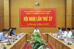 Hội nghị Ban Thường vụ Tỉnh ủy lần thứ 37