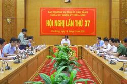 Hội nghị Ban Thường vụ Tỉnh ủy lần thứ 37