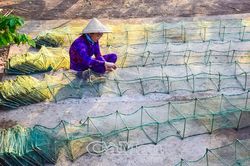 Kiên quyết xoá bỏ ngư cụ tận diệt nguồn lợi thuỷ sản
