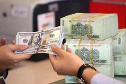 Tỷ giá ngoại tệ ngày 18/8: Những ngoại tệ có giá bán cao nhất