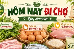 Hôm nay đi chợ 18/8: Rau xanh giá mềm, tôm thẻ từ 33.000 đồng/200g